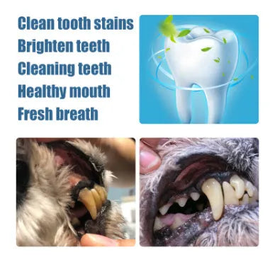 Yegbong pet teeth whitening pen dental care product for dogs and cats with applicator brushes