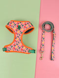 Polyester chest-back haulage rope for medium large dogs in six colour options