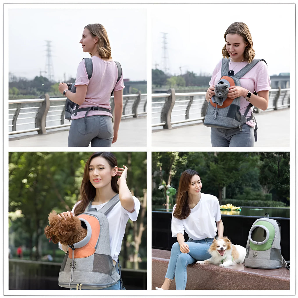 Blue pet backpack carrier with breathable mesh panels, legs out design for small dogs and cats
