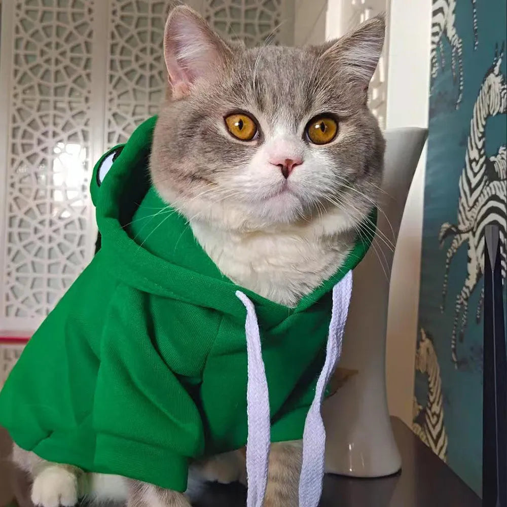 Green frog costume hoodie on small dog with size measurement diagram