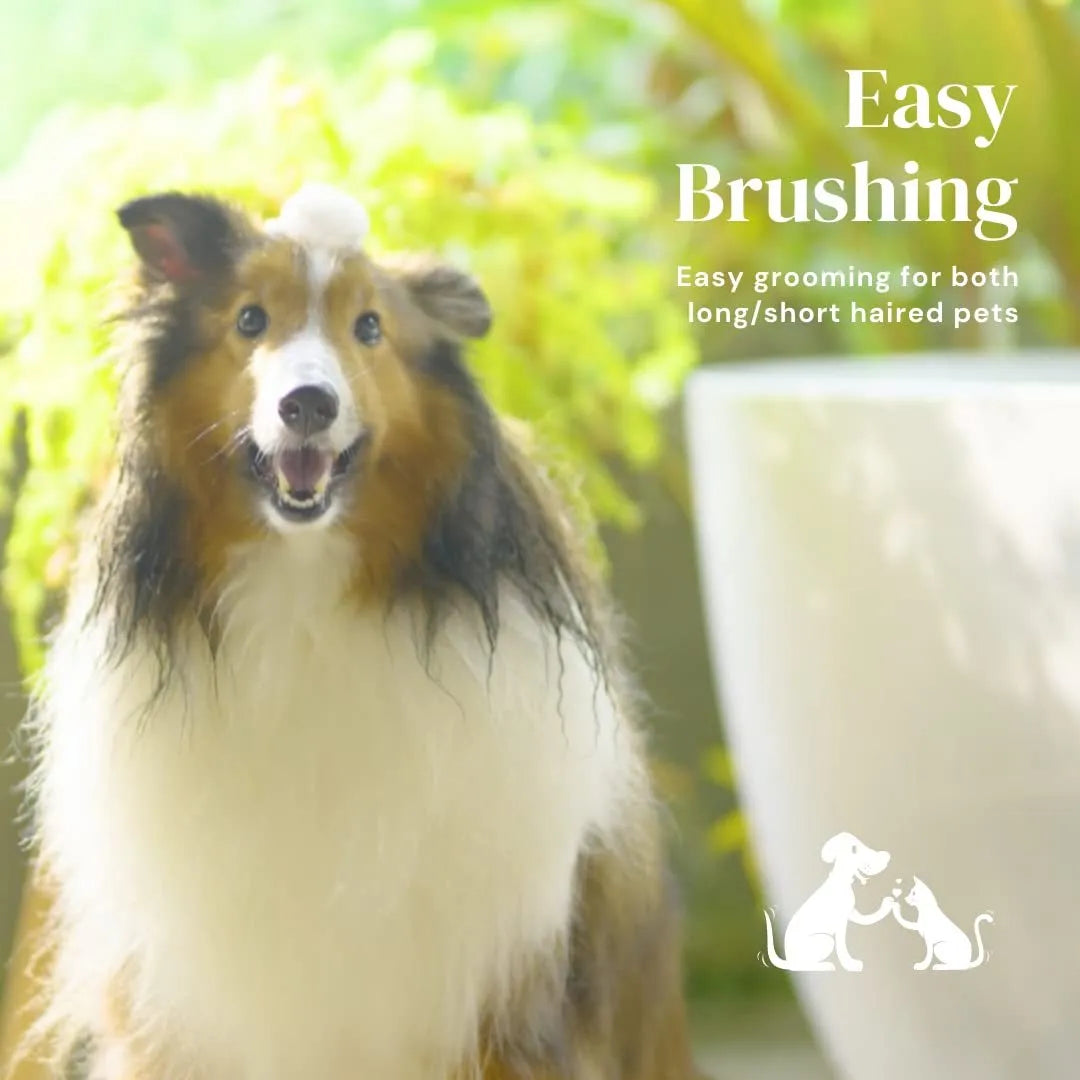 Blue self-cleaning slicker brush for dogs and cats on a white background, showing ergonomic rubber handle.