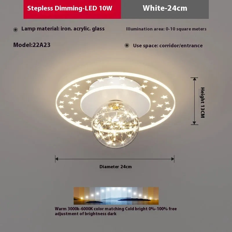 Modern simplicity style LED ceiling lamp in gold, black or white for hallways.