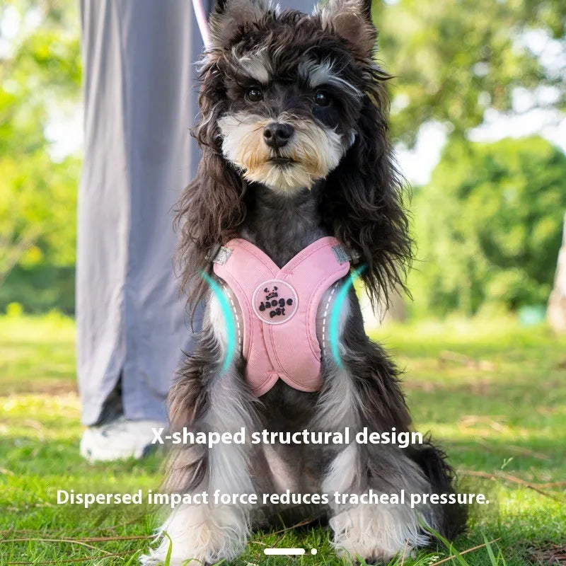 Polyester pet walking vest and hand-holding rope combo set in four colour options