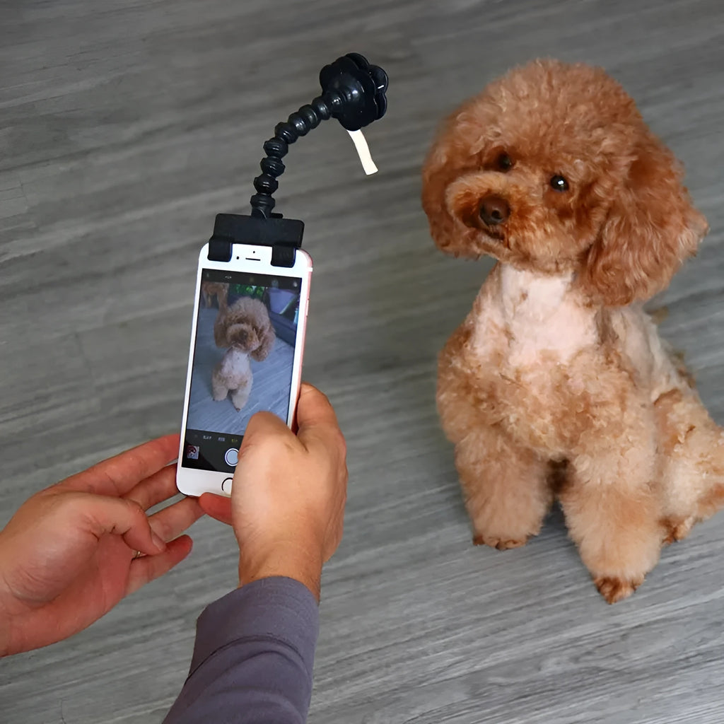 Black and white PVC pet selfie stick with a square clip and a flower clip on a blister card.