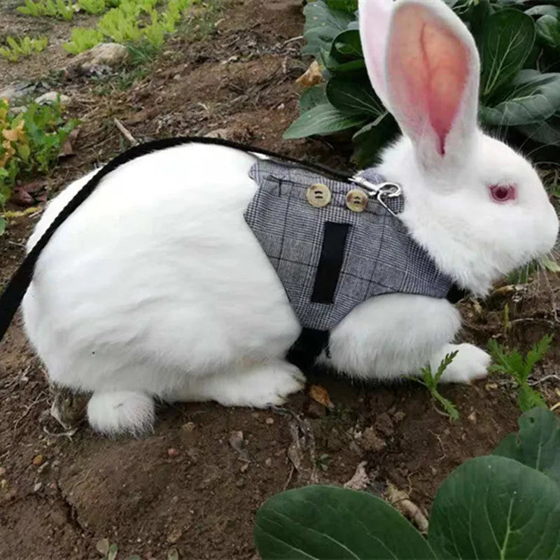 Grey cloth rabbit leash with dress in three sizes S M L chest strap