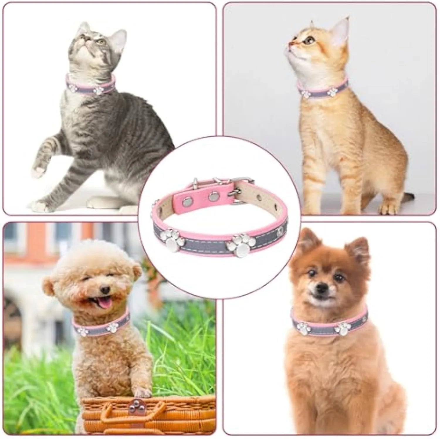 Reflective adjustable PU leather dog collar with metal paw rivet, shown on a size chart for S, M, L, XL, XXL.