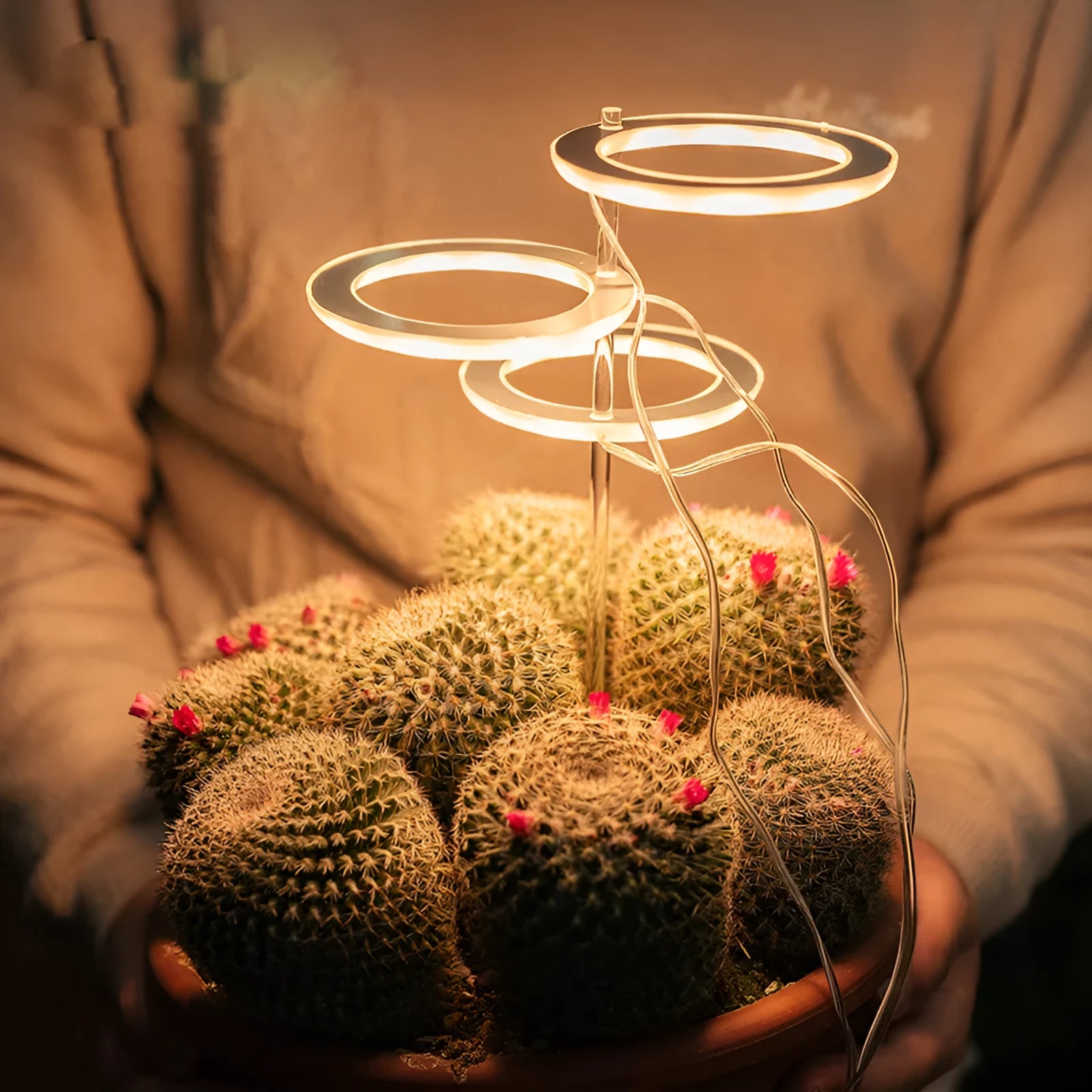 USB LED full spectrum plant grow light with acrylic stick on white background