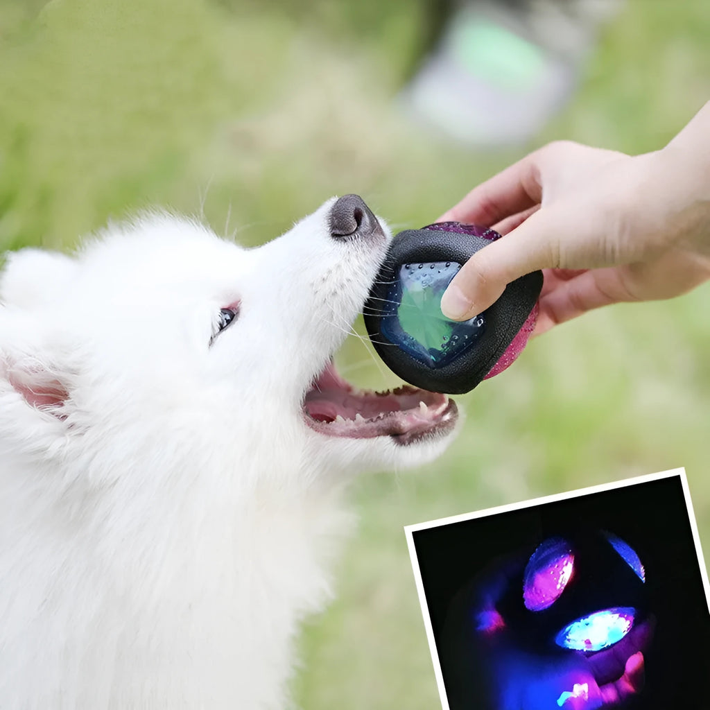 Dog bite resistant rubber sound toy with light effects in lemon style for canine play