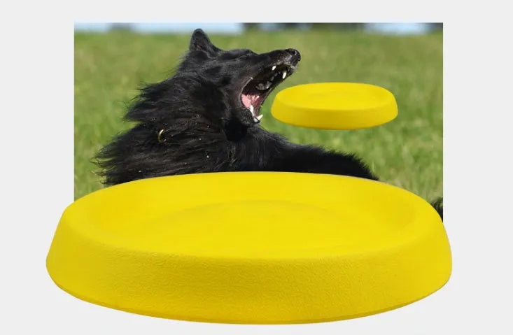 Bright yellow lightweight EVA dog training ball for throwing and fetch games.