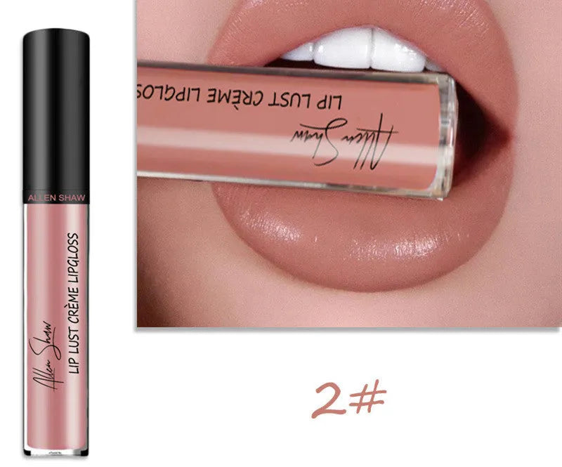 Silky cream texture lip gloss in a choice of twelve colours.