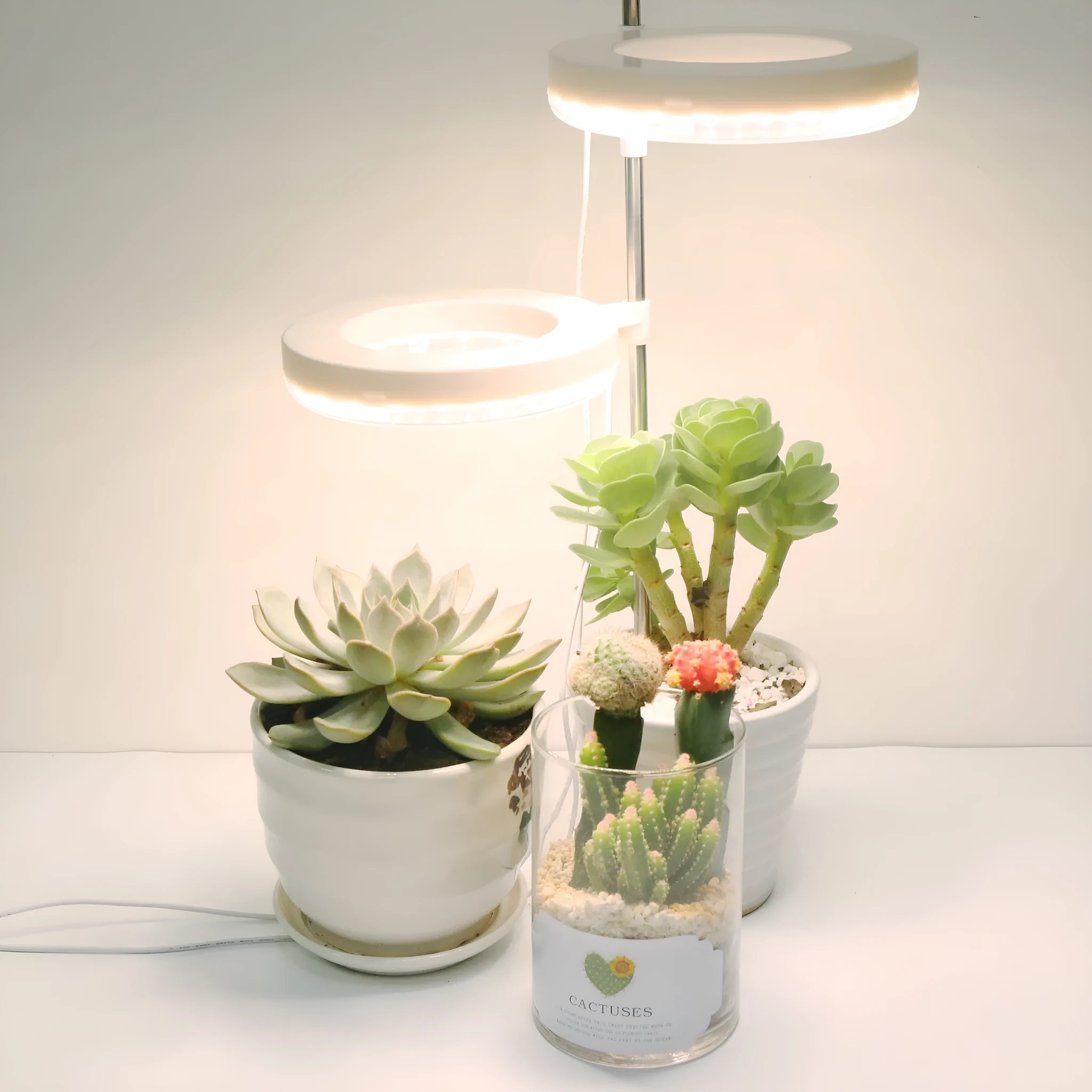 Full spectrum desk plant growth lamp with adjustable heads on a home office desk