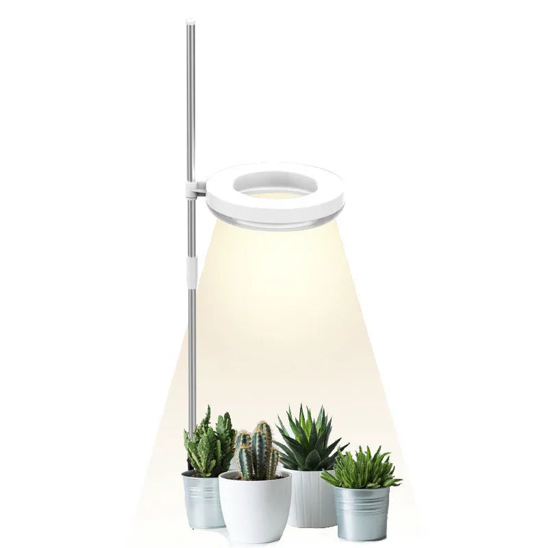 Full spectrum desk plant growth lamp with adjustable heads on a home office desk