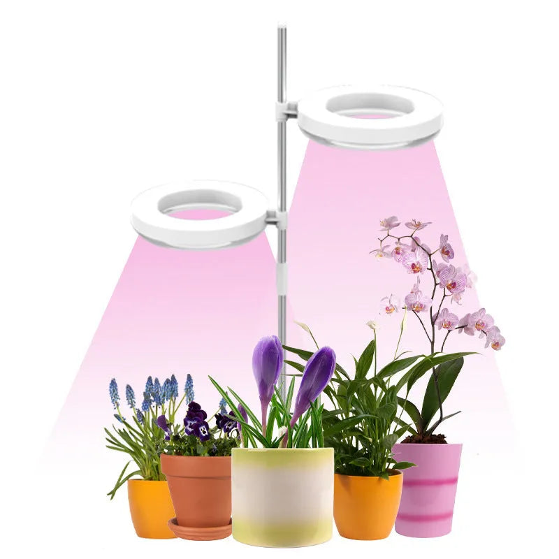 Full spectrum desk plant growth lamp with adjustable heads on a home office desk