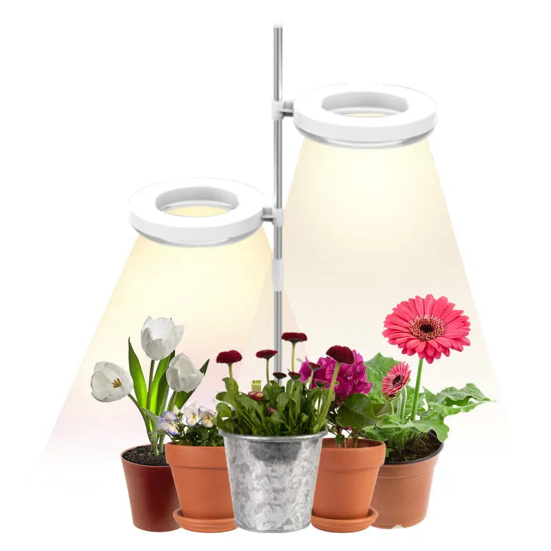 Full spectrum desk plant growth lamp with adjustable heads on a home office desk