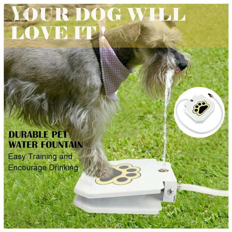 Household pet intelligent automatic water dispenser in stainless steel for outdoor garden use with paw activation