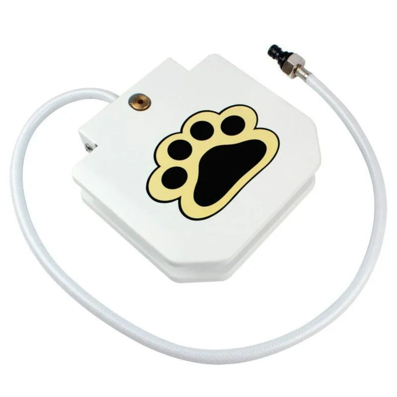 Household pet intelligent automatic water dispenser in stainless steel for outdoor garden use with paw activation