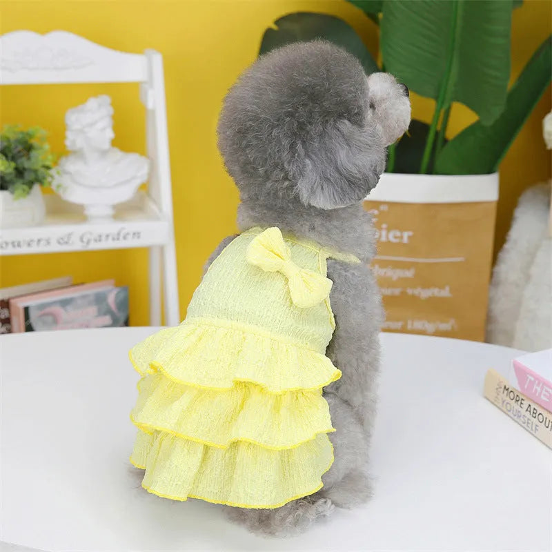 Small dog wearing rose red princess dress with layered skirt candy theme