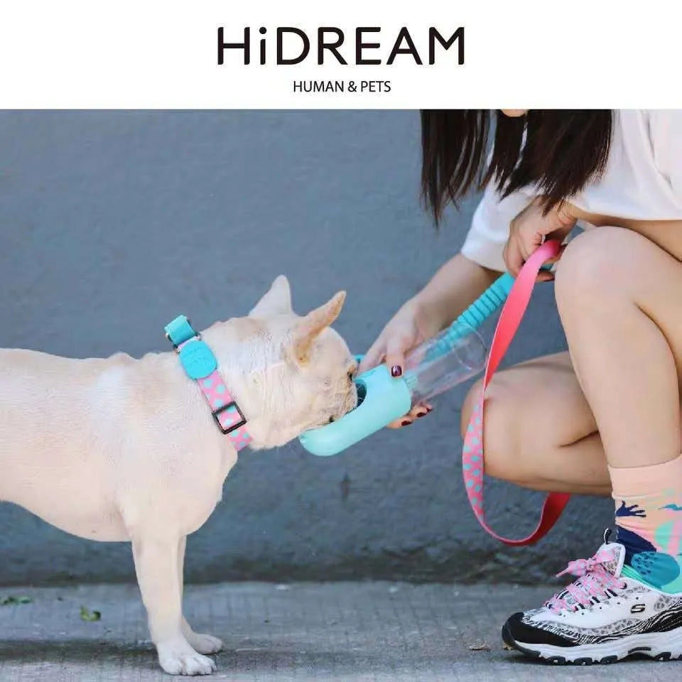 Nylon half p explosion-proof pet traction neckband in Sunrise colour on a dog