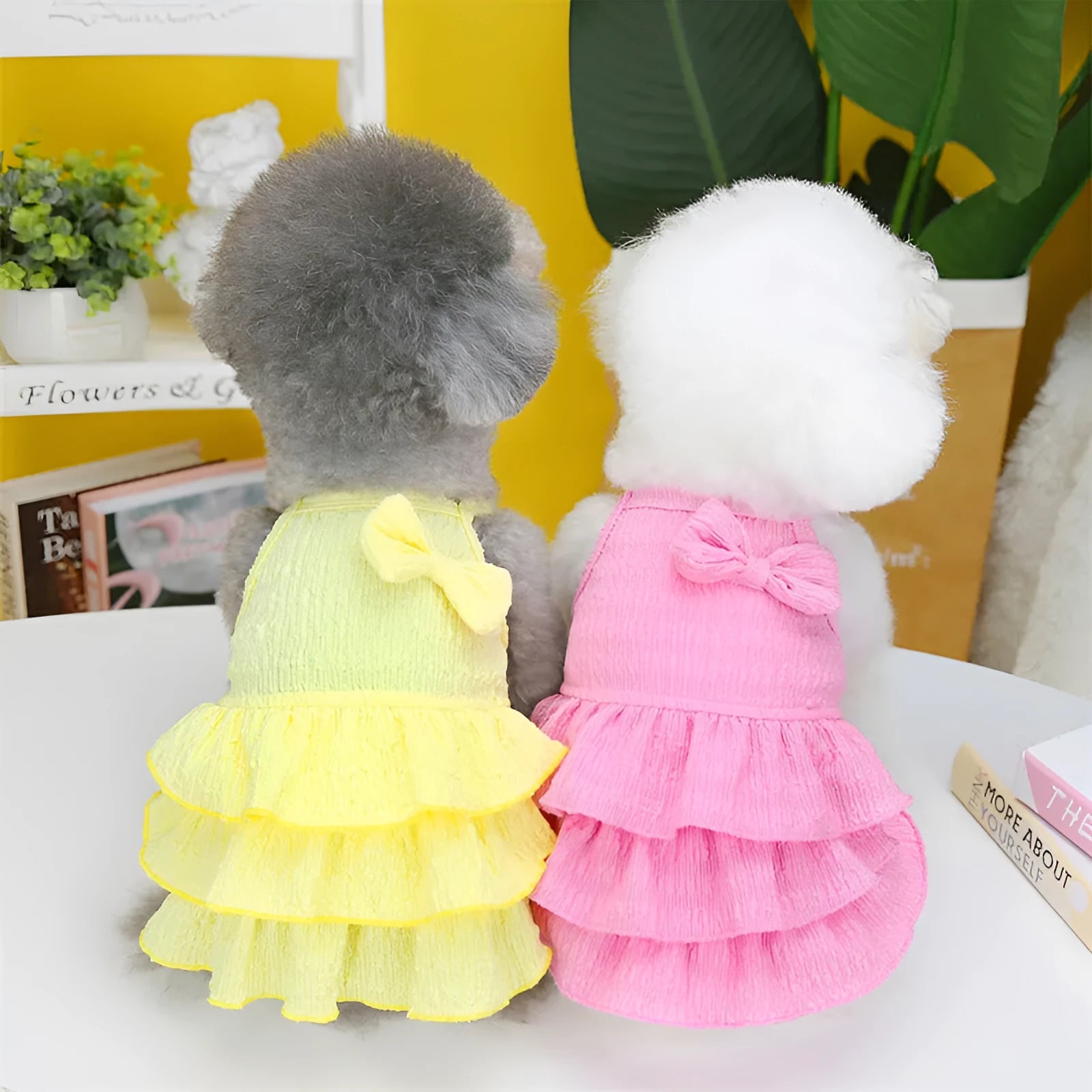 Small dog wearing rose red princess dress with layered skirt candy theme