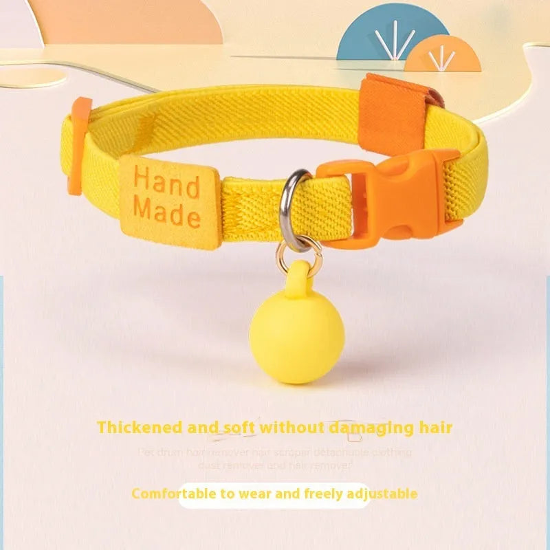 Small dog wearing a stretchy polyester pet collar in a choice of seven colours.