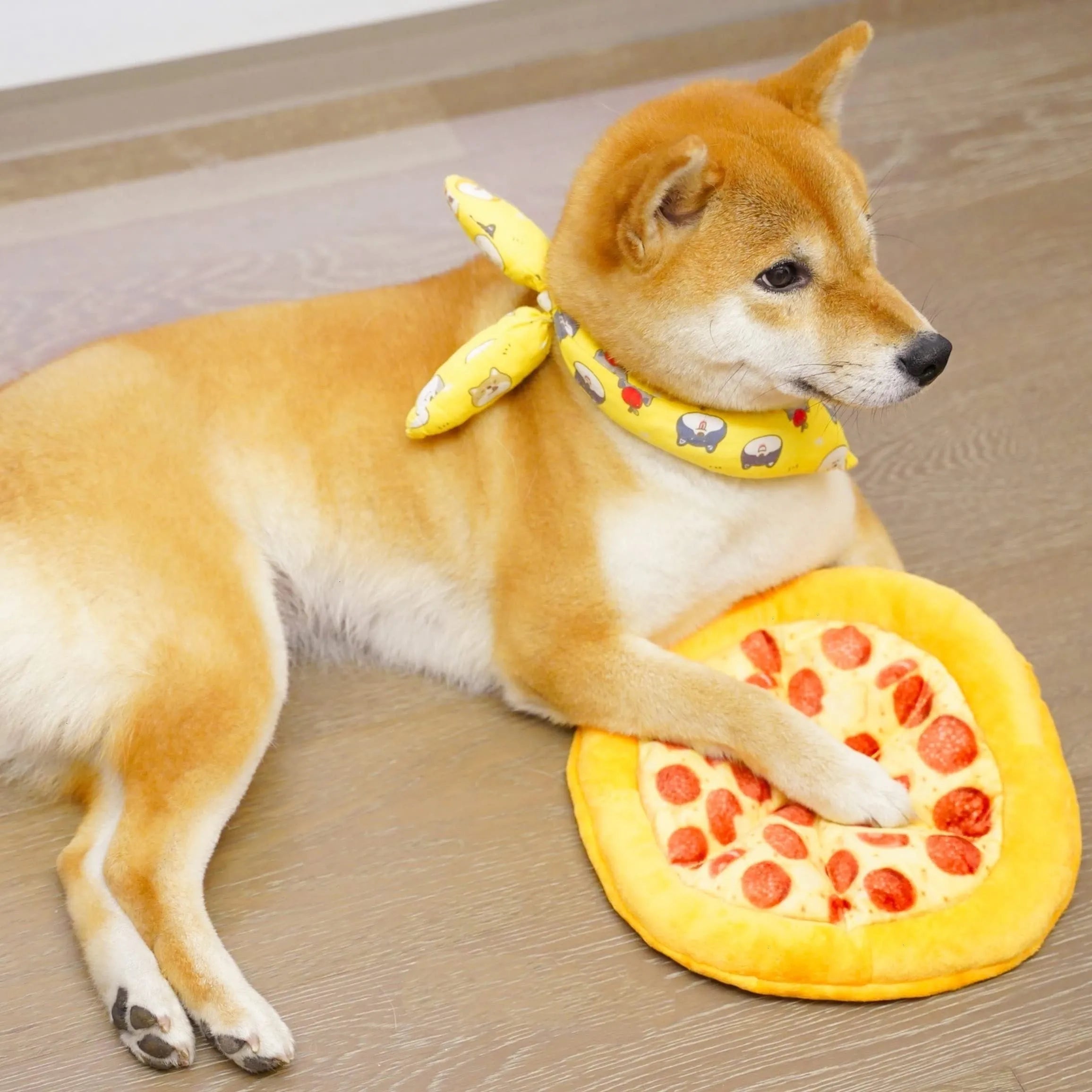 Yellow teddy bear dog chew toy holding a pizza slice with a squeaker inside.