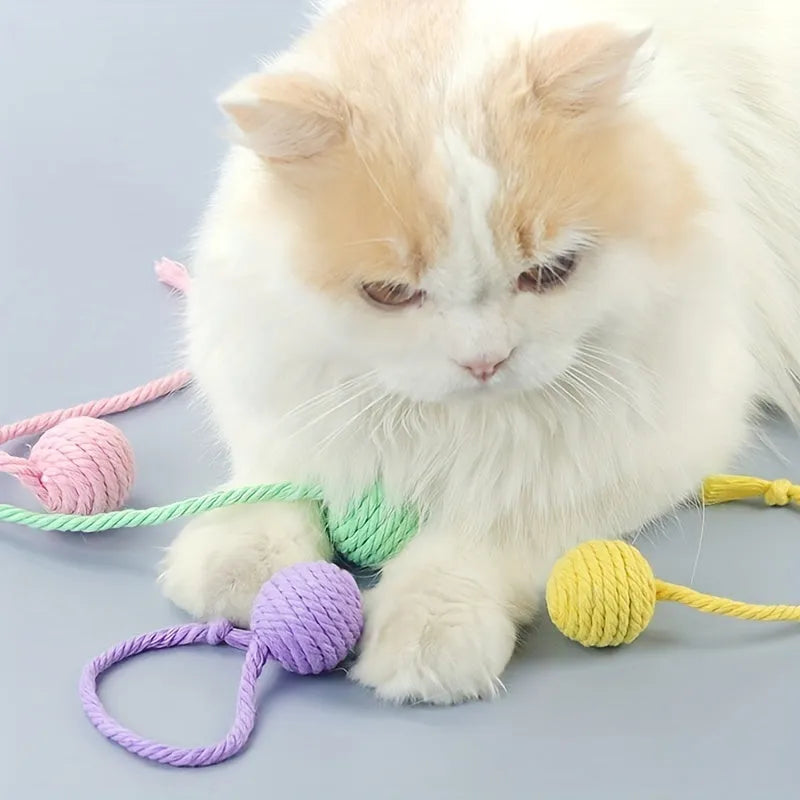 Interactive cat toy ball with rope and internal bell in green, pink, purple and yellow colours