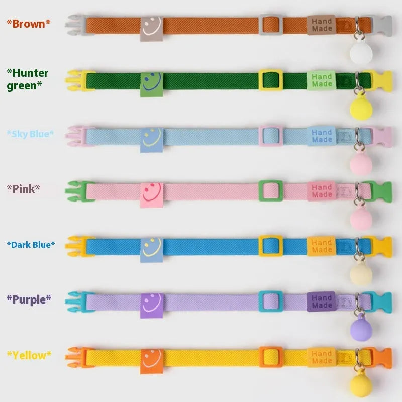 Small dog wearing a stretchy polyester pet collar in a choice of seven colours.