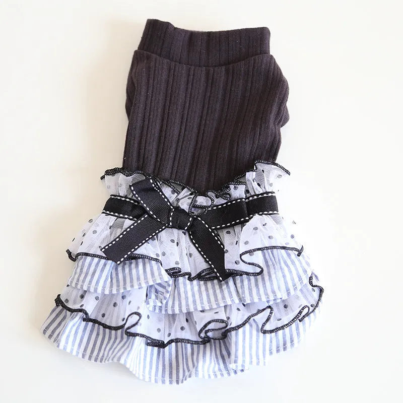 Polka dot lace cake dress pet clothes in taro purple on a small dog, princess style with lace detailing