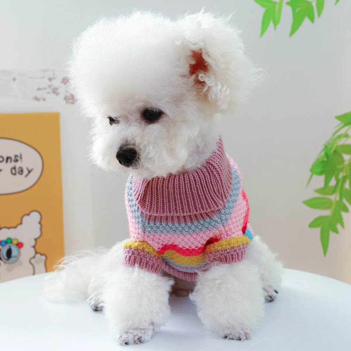 Pet Ring colorful stripes acrylic sweater for dogs, five sizes XS to XL, front view
