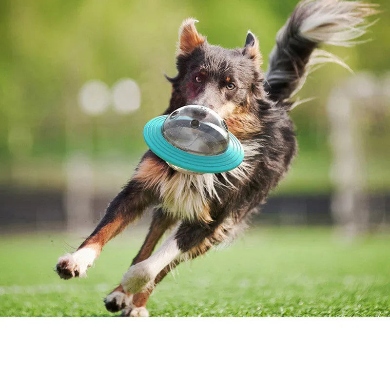 Plastic missing food educational toy with leak-feeding hole for dogs and cats, Lake Blue and Yellow colours