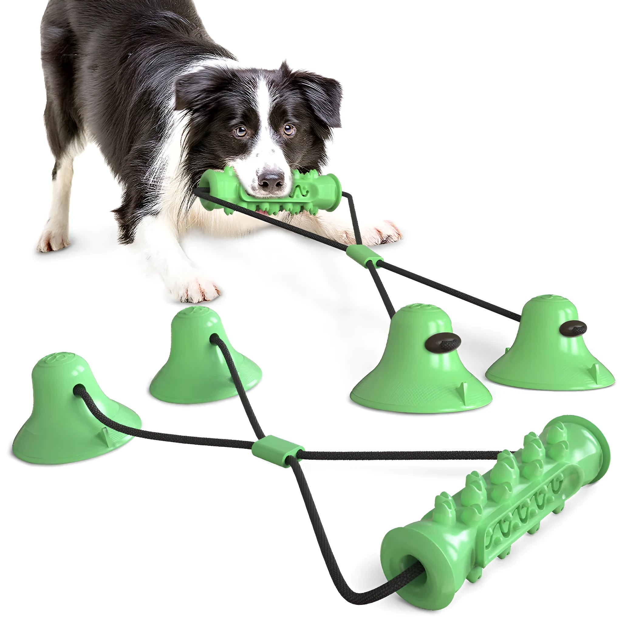 Double suction cup pull dog toy in Lake Blue made from hard-wearing plastic on a tiled floor