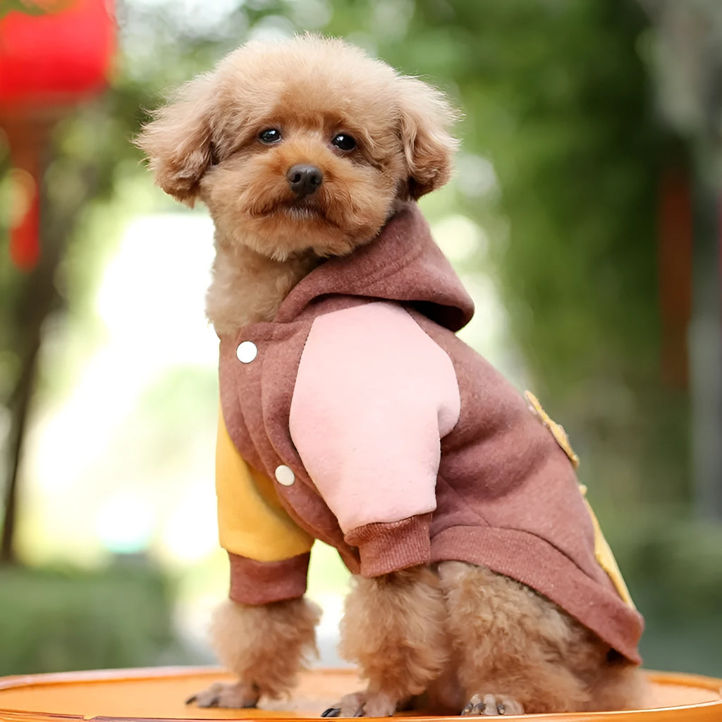 Cotton pet sweatshirt in brown, green or pink available in six dog sizes