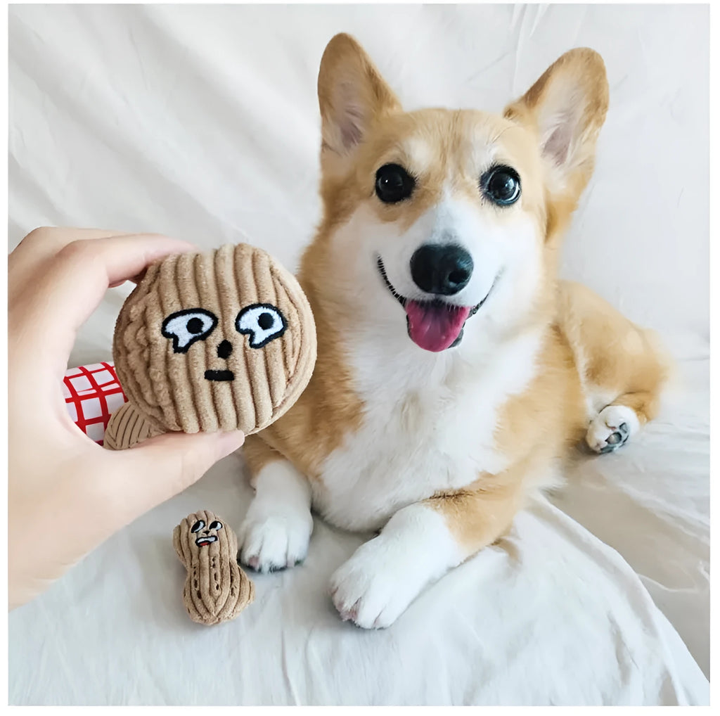 Hidden food toy set for dogs with two walnut toys, one peanut toy, and a rustling paper snack bag on a table