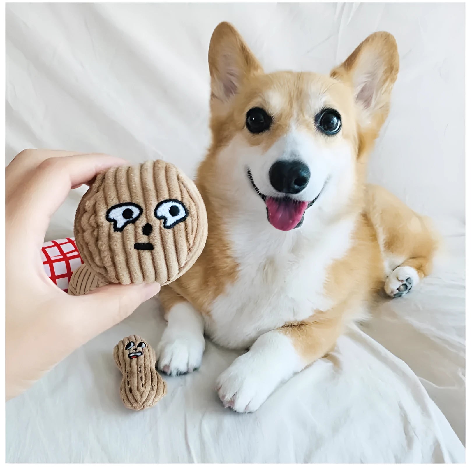 Hidden food toy set for dogs with two walnut toys, one peanut toy, and a rustling paper snack bag on a table