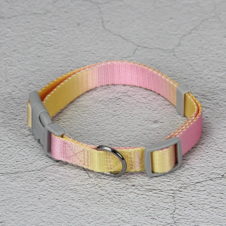 Nylon dog leash set with collar and harness in a pink and blue gradient colour.