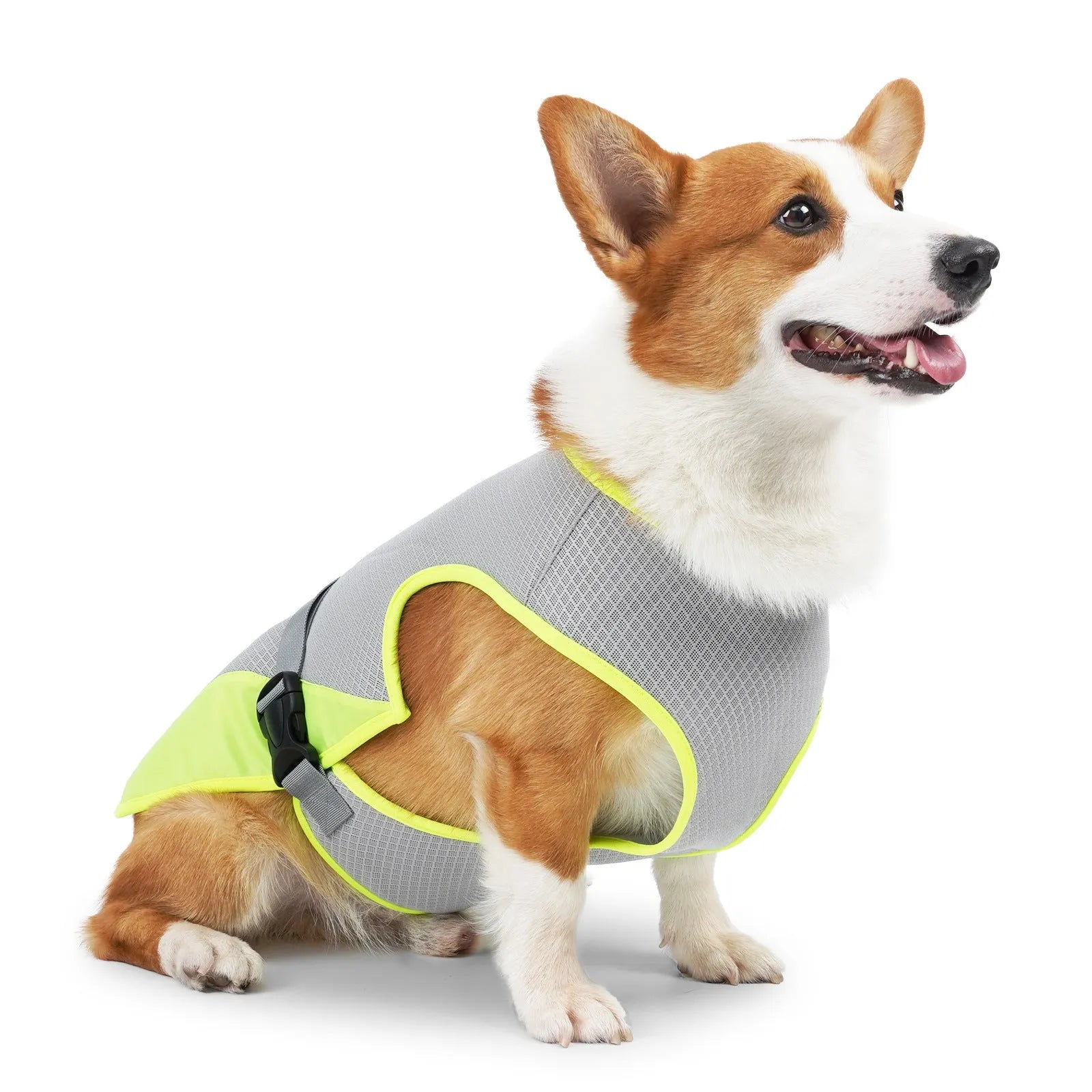 Light grey polyester dog cooling vest for heatstroke prevention on a medium-sized dog.