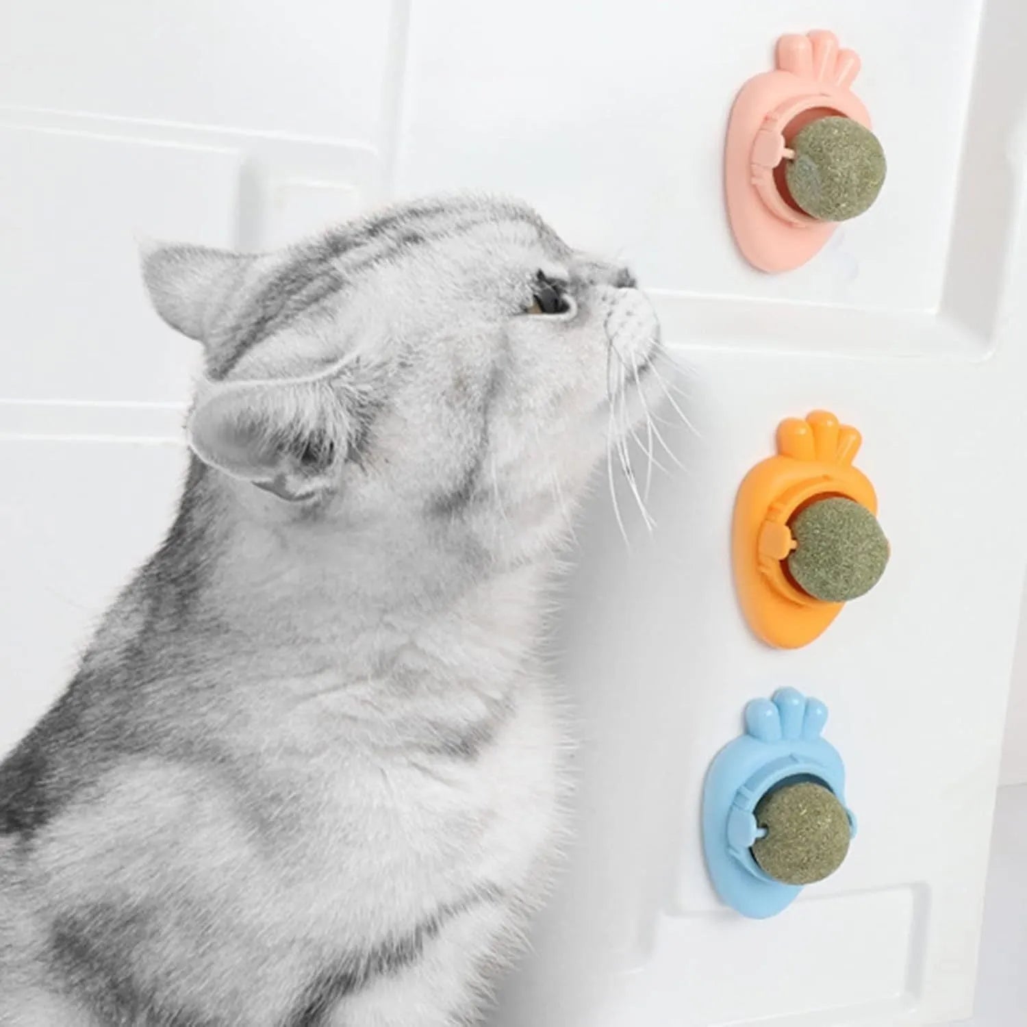 Blue carrot-shaped self-adhesive catnip wall balls for indoor cat teeth cleaning