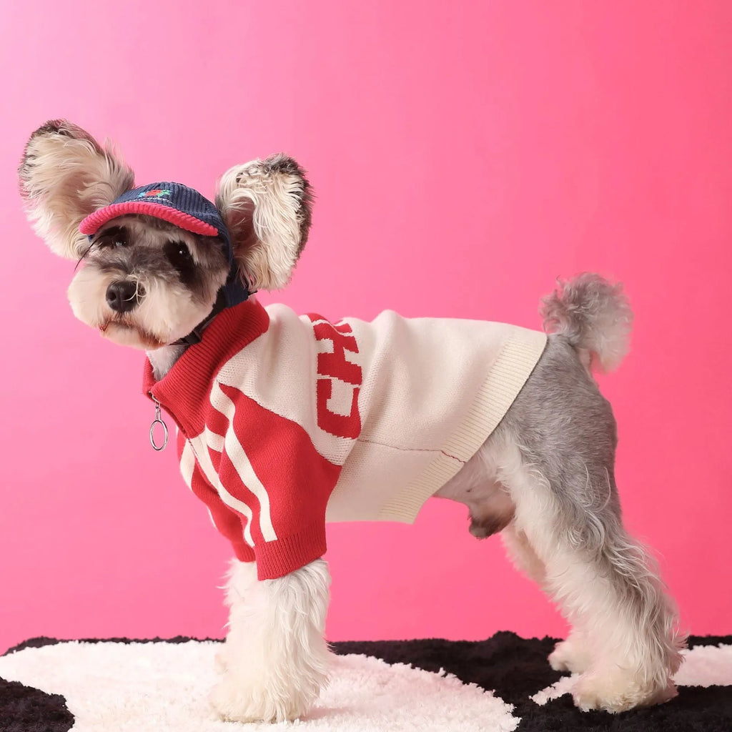 Red wool knit sports cardigan sweater worn by a dog, showing ribbed collar and front opening.