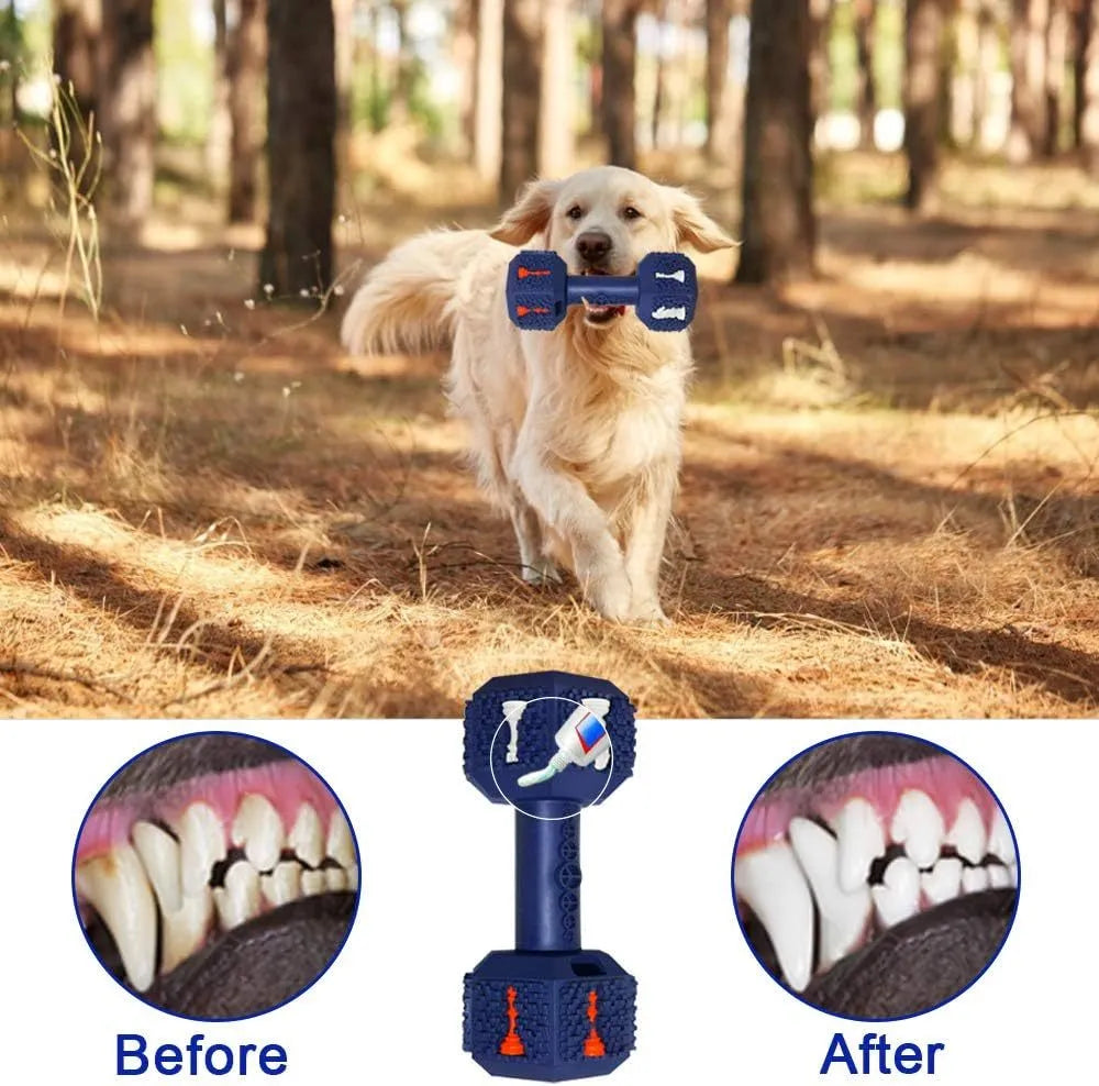 Durable black and blue rubber dumbbell dog chew toy for aggressive chewers on a white background.