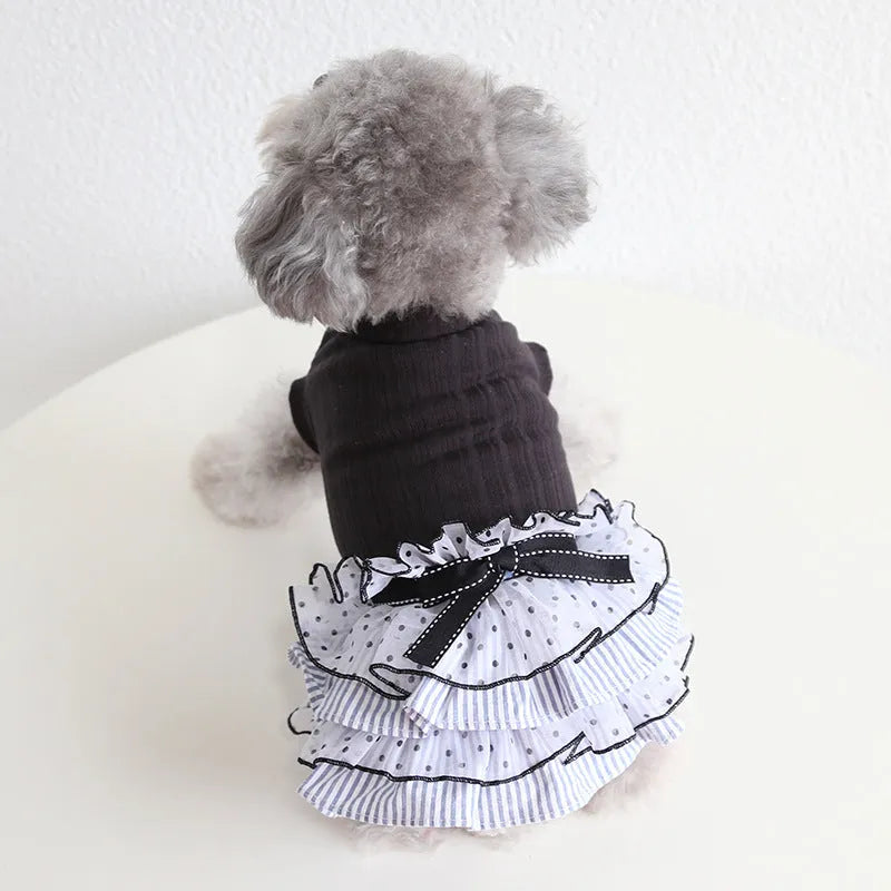Polka dot lace cake dress pet clothes in taro purple on a small dog, princess style with lace detailing