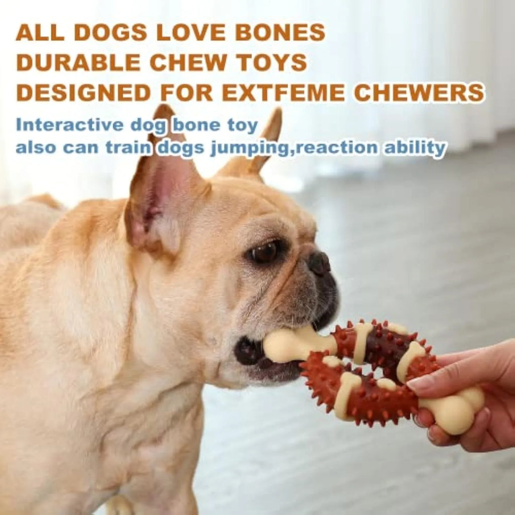 Bone-shaped natural rubber dog dental chew toy for teeth cleaning and anxiety relief in two sizes