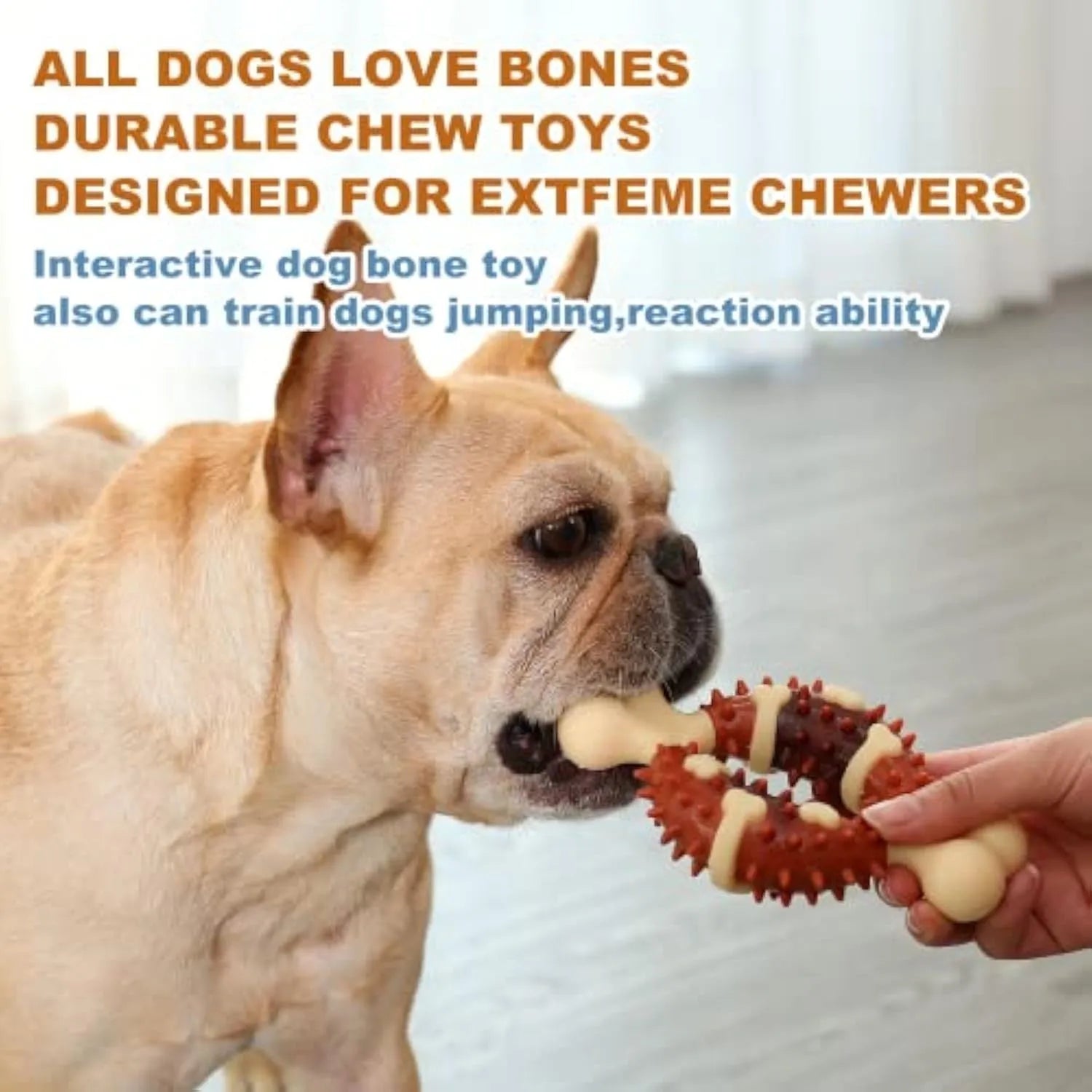 Bone-shaped natural rubber dog dental chew toy for teeth cleaning and anxiety relief in two sizes