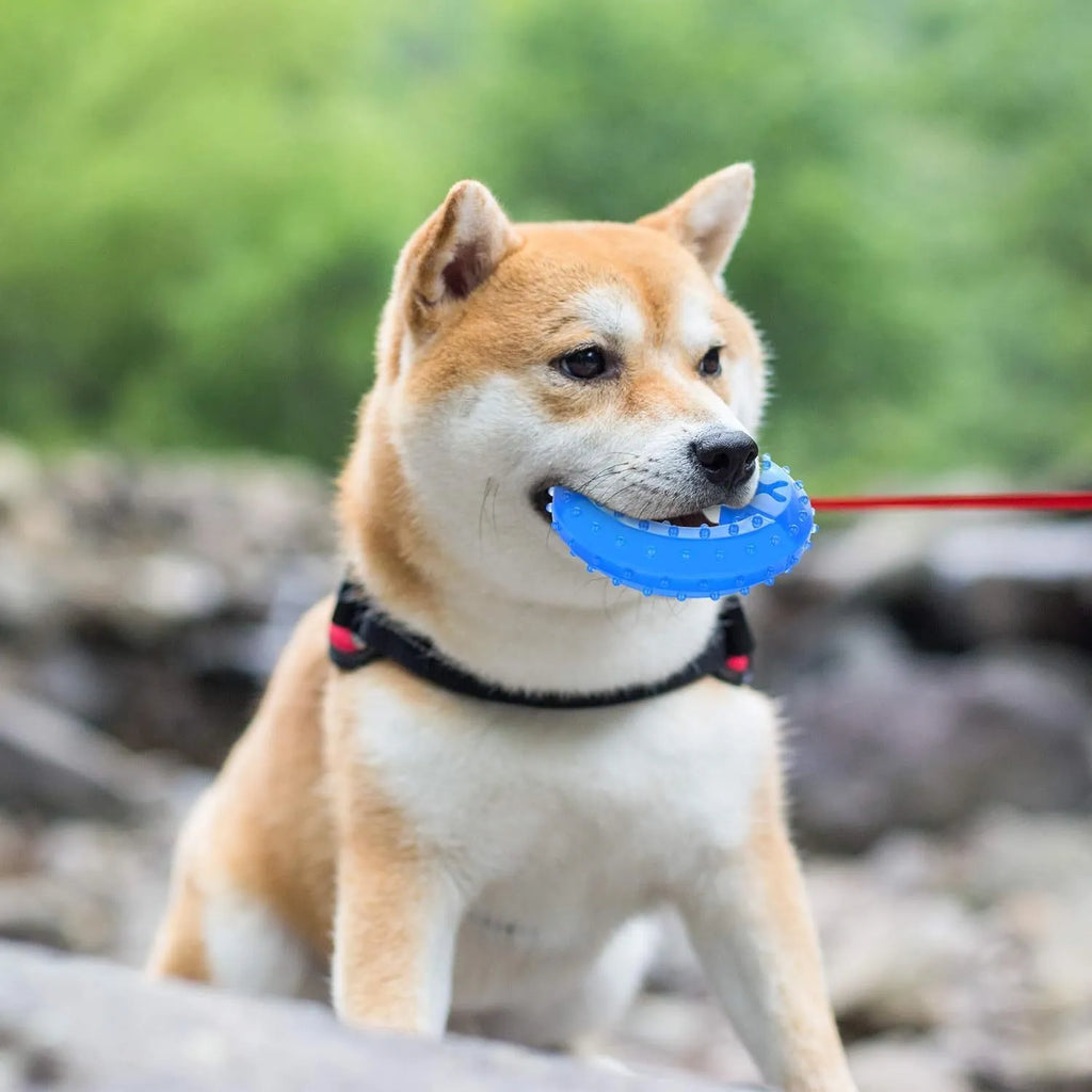 Freezable bone-shaped and circle-shaped dog cooling chew toys with treat pockets.