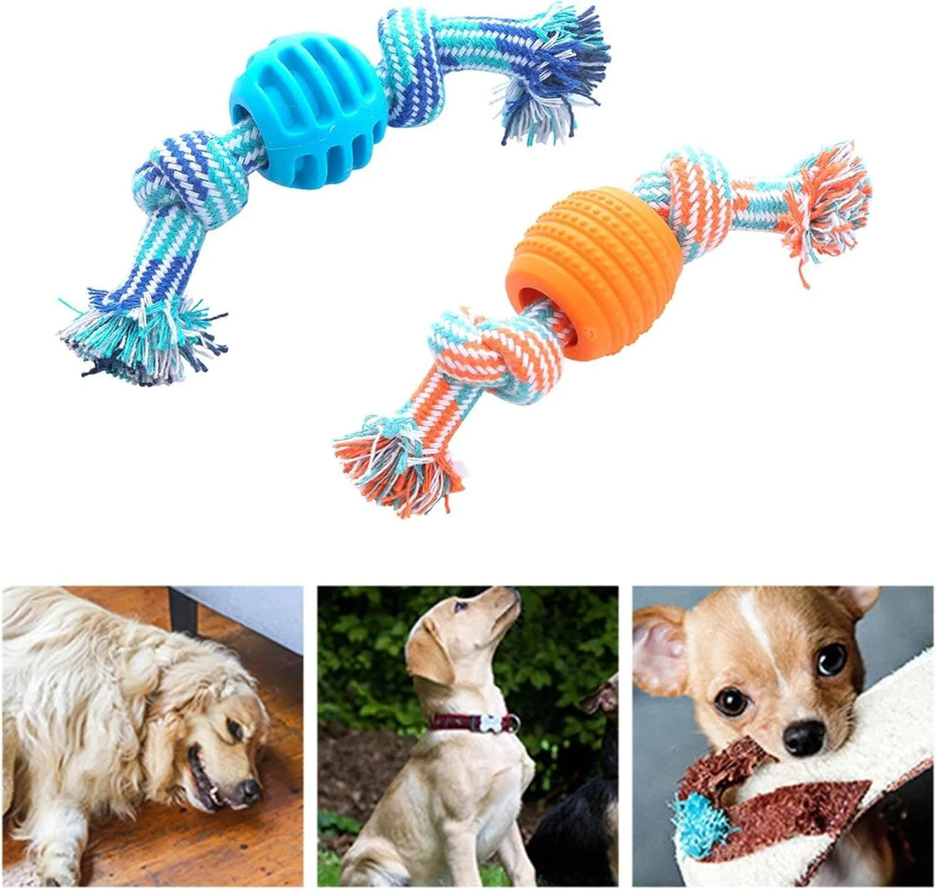 Blue molar-shaped dog chew toy with rope attachments for dental care and chewing