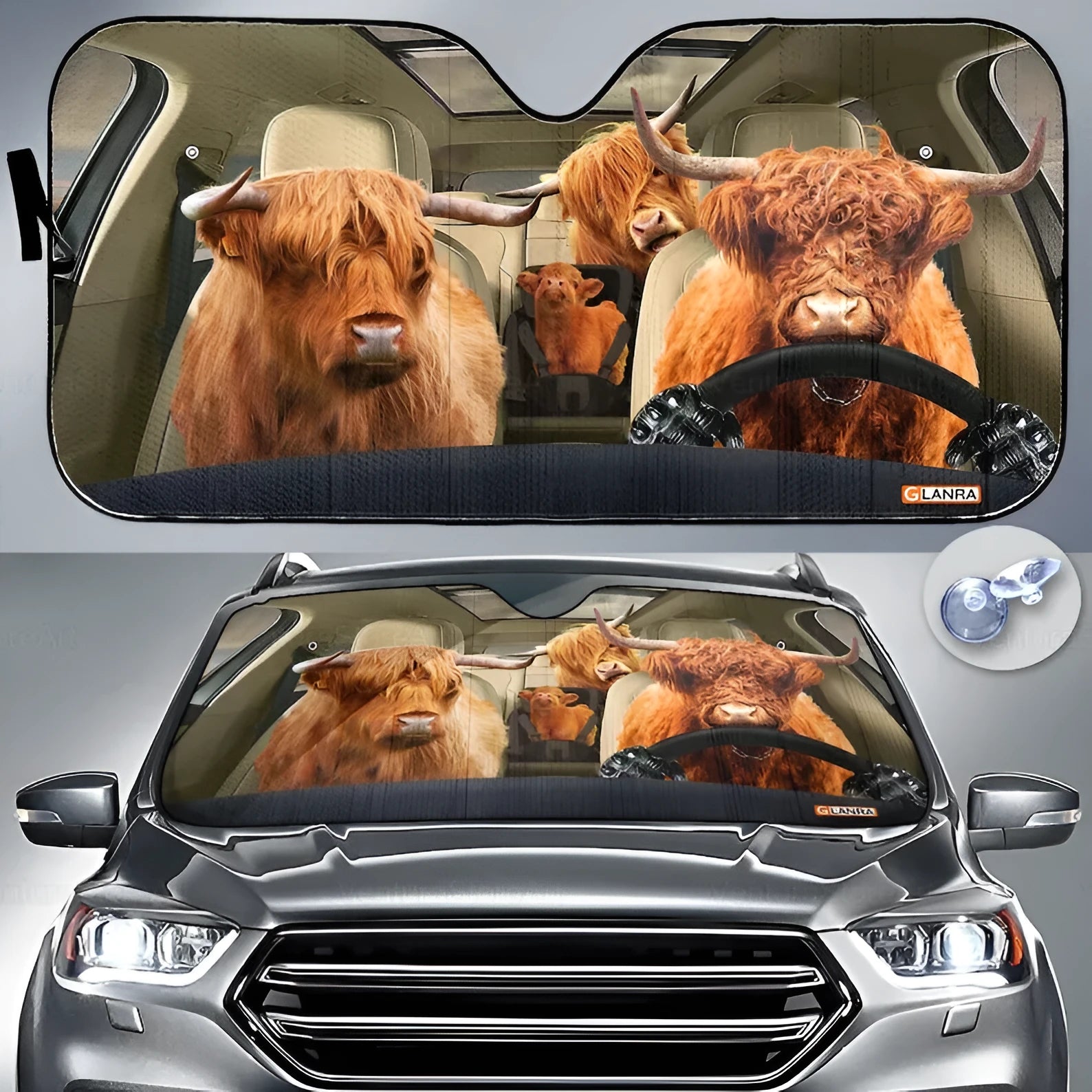 Telescopic aluminium foil car sun visor extended across a vehicle windshield