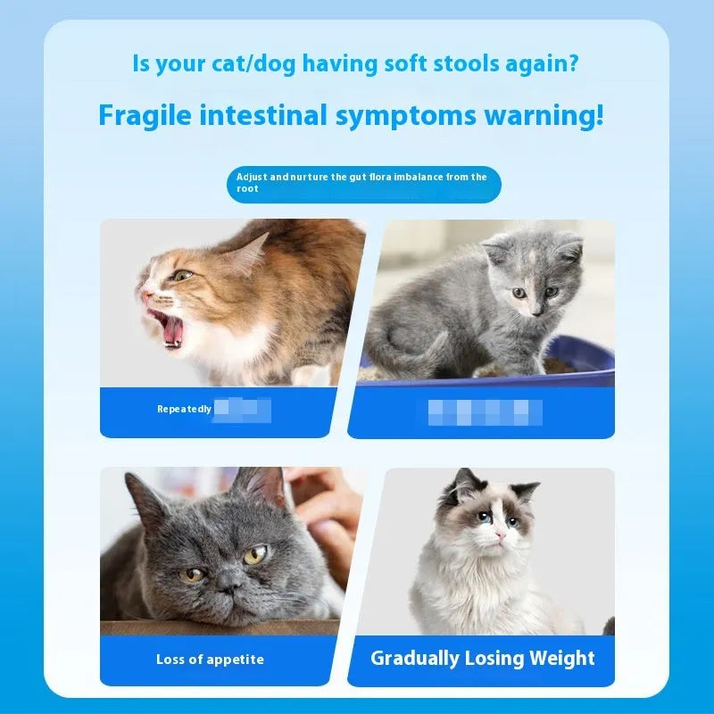 Bottle of pet probiotic tablets containing 180 chewable supplements for dogs and cats