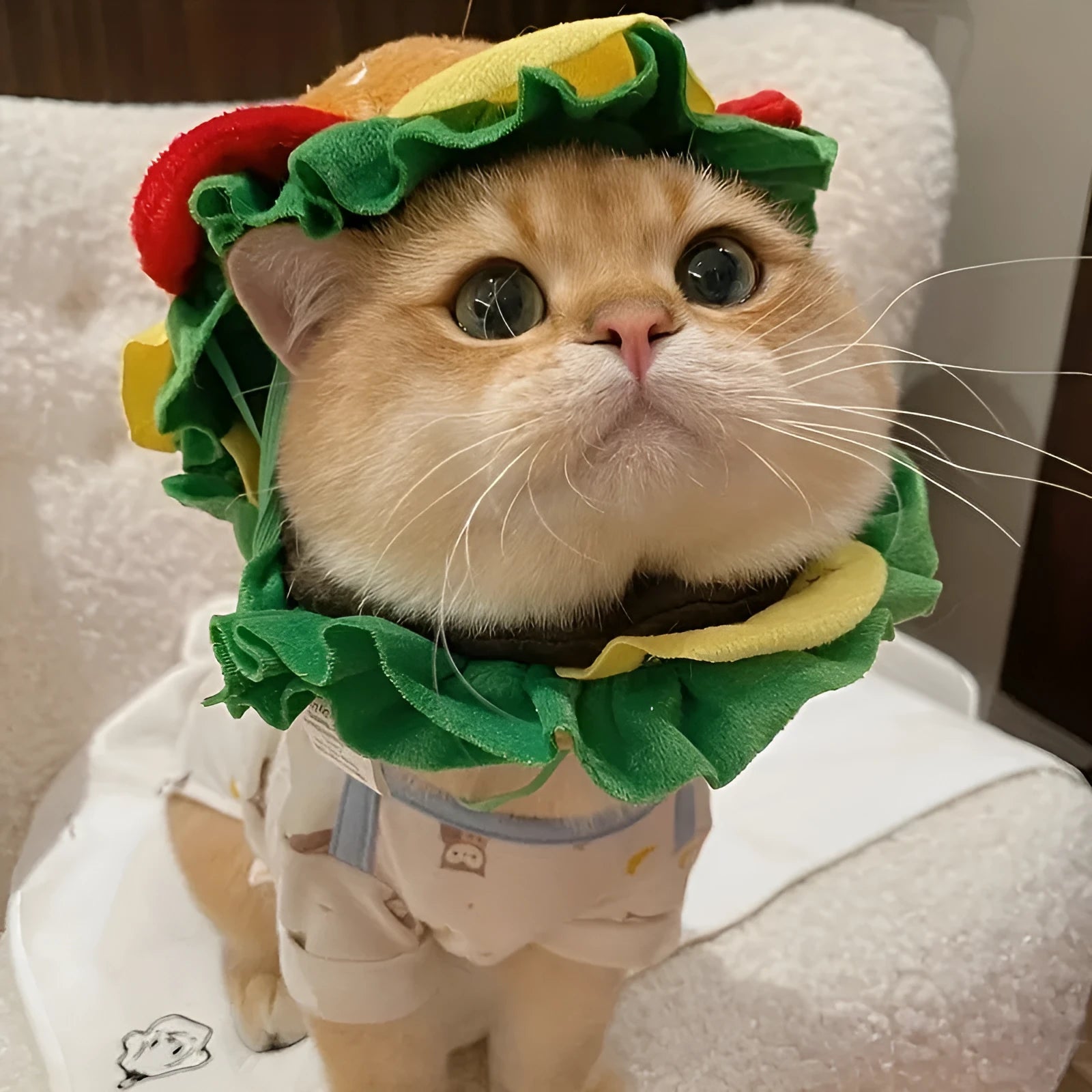 Cat wearing a soft plush burger headdress collar with an adjustable elastic strap