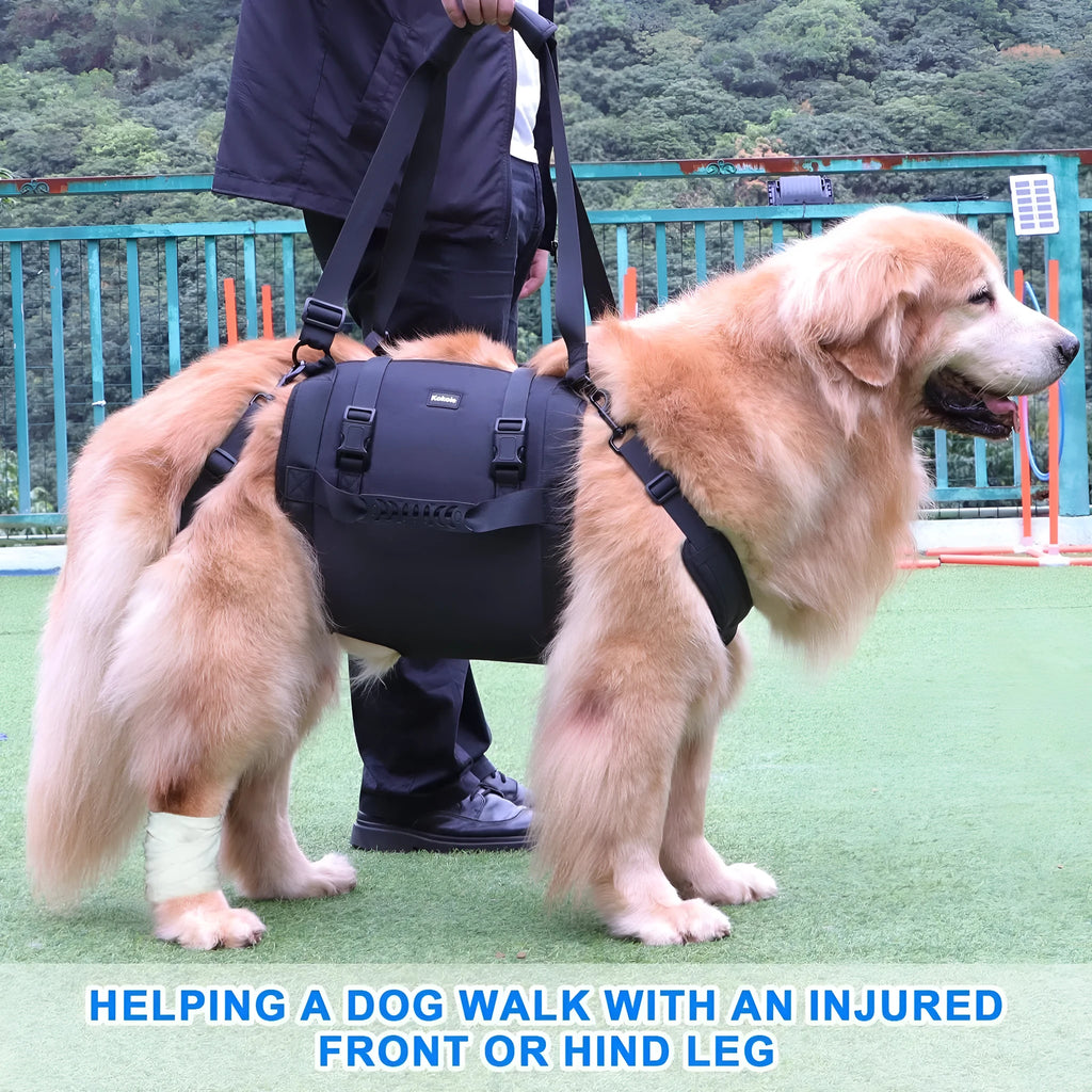 Black Oxford cloth dog harness with leg support and adjustable breast strap for rehabilitation
