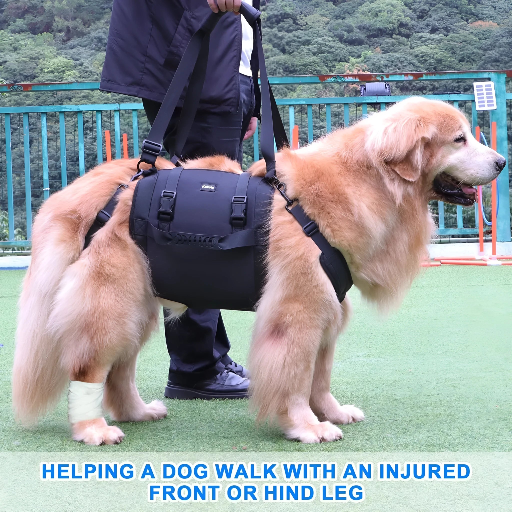 Black Oxford cloth dog harness with leg support and adjustable breast strap for rehabilitation