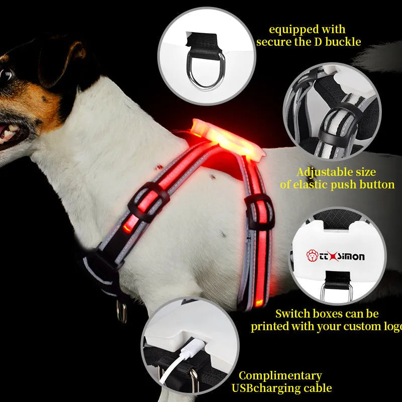 Nylon dog leash with seven-colour LED lights and USB charging cable for night-time walks